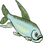 Fish 223