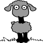 Sheep 03
