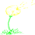 Dandelion 11