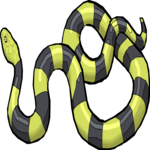 Snake 23