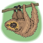 Sloth 5 Clip Art