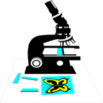 Science 5 Clip Art