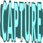 Capture