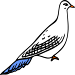 Pigeon 03 Clip Art