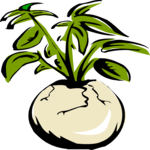 Plant in Cracked Vase Clip Art