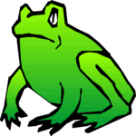 Frog 06