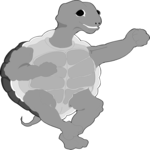 Tortoise 3