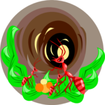Ants in Nest