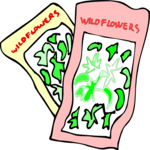 Seeds - Wildflowers Clip Art