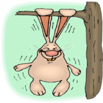 Rabbit - Ear Pull-ups