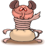 Longnose - Tail Around Neck