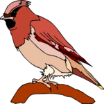 Cardinal 8 Clip Art