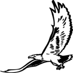 Eagle 55 Clip Art