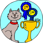 Cat - 1st Place