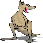 Kangaroo - Happy