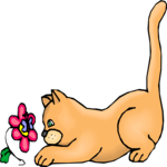 Cat with Flower