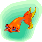 Goldfish 12 Clip Art