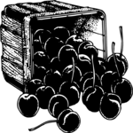 Cherries in Box 2