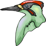 Woodpecker 08 Clip Art