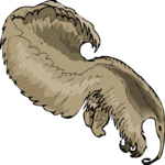 Anteater 6