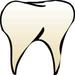 Tooth 07 Clip Art
