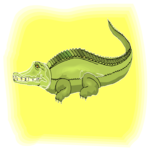 Alligator 7
