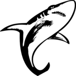 Shark 22