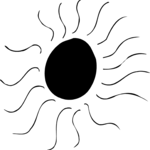 Sun 014