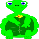 Turtle 13