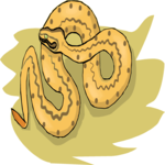 Snake 15