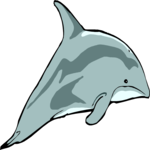 Dolphin 16 Clip Art