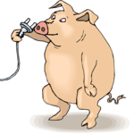 Pig with Nose Plug