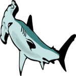 Shark - Hammerhead 1
