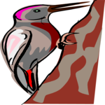 Woodpecker 04 Clip Art