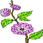 Almond Flowers Clip Art