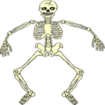 Skeleton 18 Clip Art