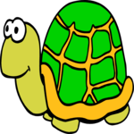 Turtle 07