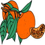 Tangerine 2 Clip Art