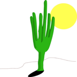 Cactus - Saguaro 1