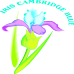 Iris Cambridge Blue Clip Art