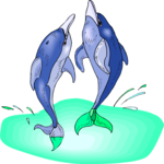 Dolphins 3 Clip Art