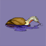 Duck 24 Clip Art