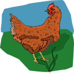 Chicken 10 Clip Art