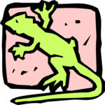 Lizard 02