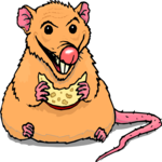 Rat Eating Cheese 2 Clip Art
