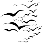 Birds - Flock