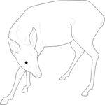 Deer 06