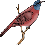 Bird Perched 35 Clip Art