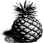 Pineapple 02 Clip Art