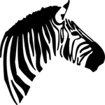 Zebra 02 Clip Art